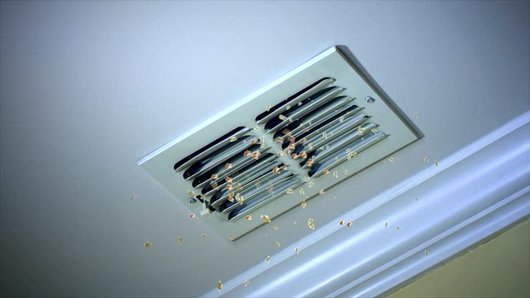 Best Affordable HVAC Duct Cleaning  in Rocky Mount, NC
