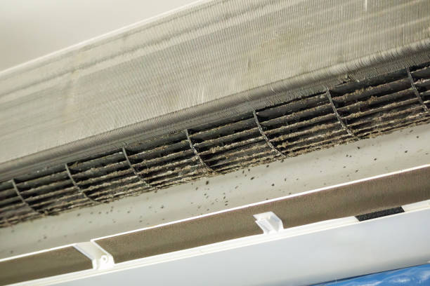 Best Ventilation Cleaning Services  in Rocky Mount, NC
